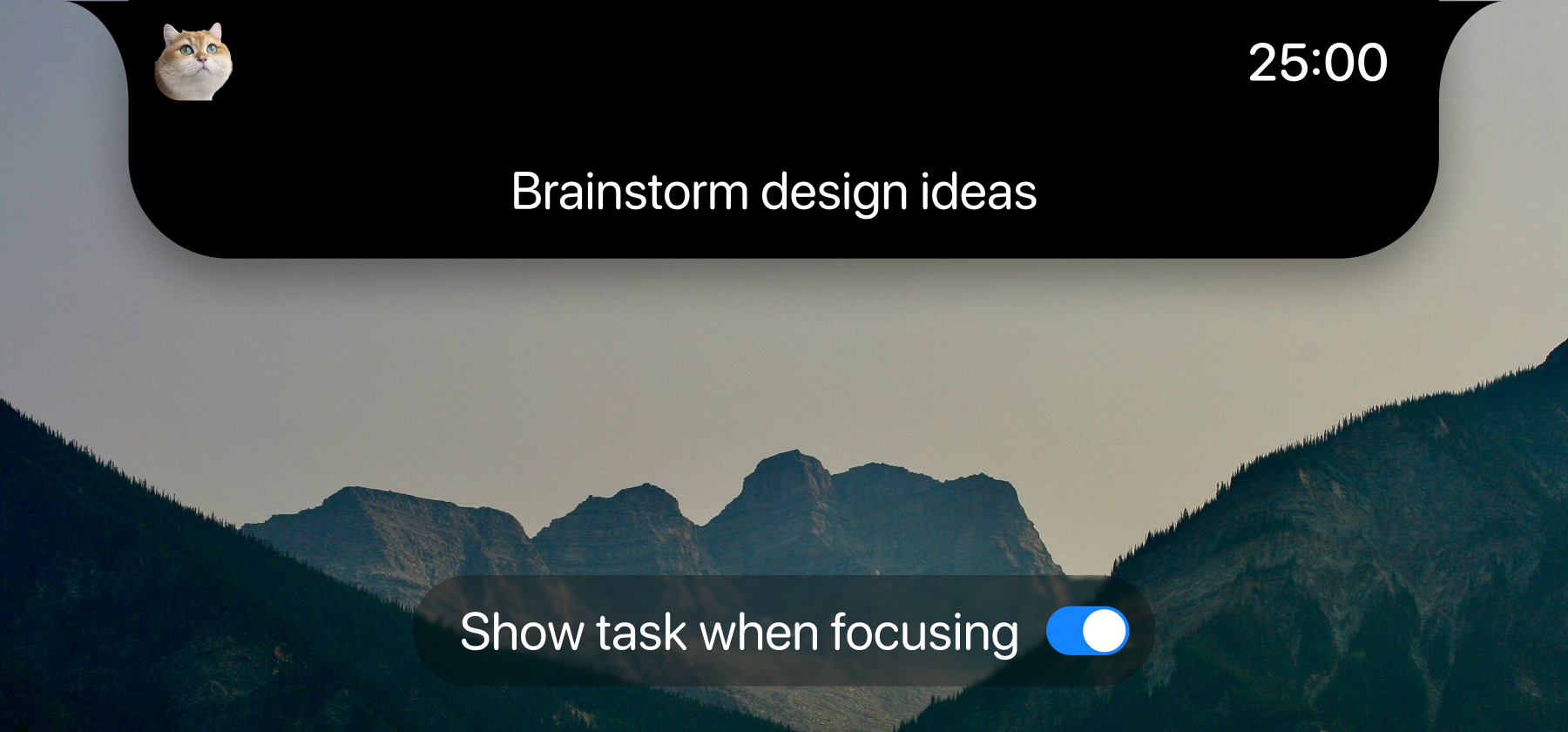Task name shown during a session